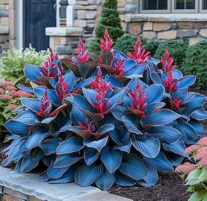 Хоста Грин Фог купить по цене от 669р. в интернет-магазине «Посадика» с доставкой почтой в в Котельниковое и по всей России – [изображение №1].