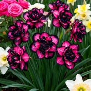 Нарцисс Золотая Корона купить по цене от 2000р. в интернет-магазине «Посадика» с доставкой почтой в в Котельниковое и по всей России – [изображение №1].