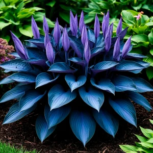 Хоста Сикрет Гров купить по цене от 570р. в интернет-магазине «Посадика» с доставкой почтой в в Котельниковое и по всей России – [изображение №1].