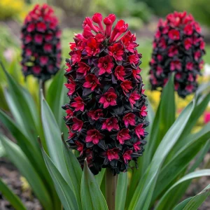 Гиацинт Джем Стоун купить по цене от 2099р. в интернет-магазине «Посадика» с доставкой почтой в в Котельниковое и по всей России – [изображение №1].