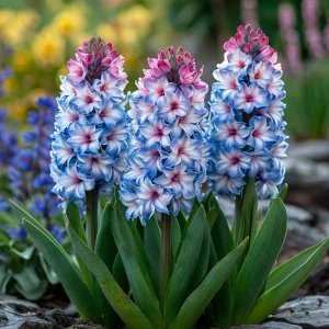 Гиацинт Пинк Мари купить по цене от 2099р. в интернет-магазине «Посадика» с доставкой почтой в в Котельниковое и по всей России – [изображение №1].