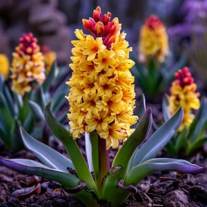 Гиацинт Миднайт Мистери купить по цене от 2099р. в интернет-магазине «Посадика» с доставкой почтой в в Котельниковое и по всей России – [изображение №1].