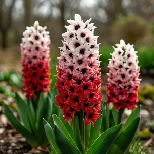 Гиацинт Скай Гарден купить по цене от 2099р. в интернет-магазине «Посадика» с доставкой почтой в в Котельниковое и по всей России – [изображение №1].